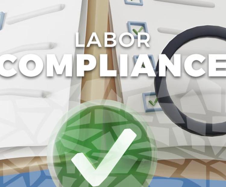 RFP_P2025-11-labor-compliance